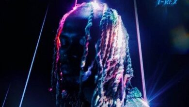 T-Rex - Feeling