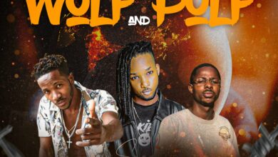 Os Koreanos Feat. Dj T-Califa e Mauro Dix Deejay - Wolf And Pulf