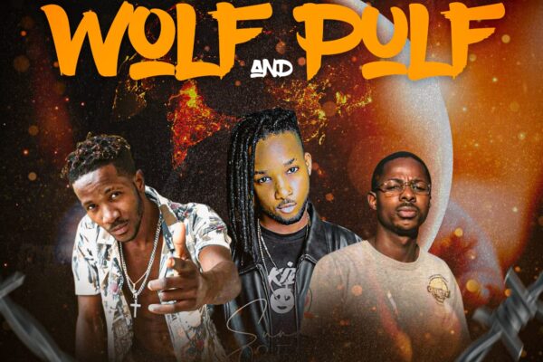 Os Koreanos Feat. Dj T-Califa e Mauro Dix Deejay - Wolf And Pulf