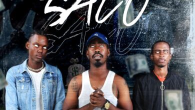 TNS - Saco