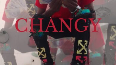 Changy - Agulha