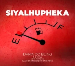 Dama do Bling - Siya Lhupheka