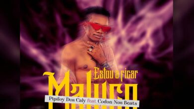 Pipiloy Dos Caly Feat. Codon Nos Beats - Estou A Ficar Maluco