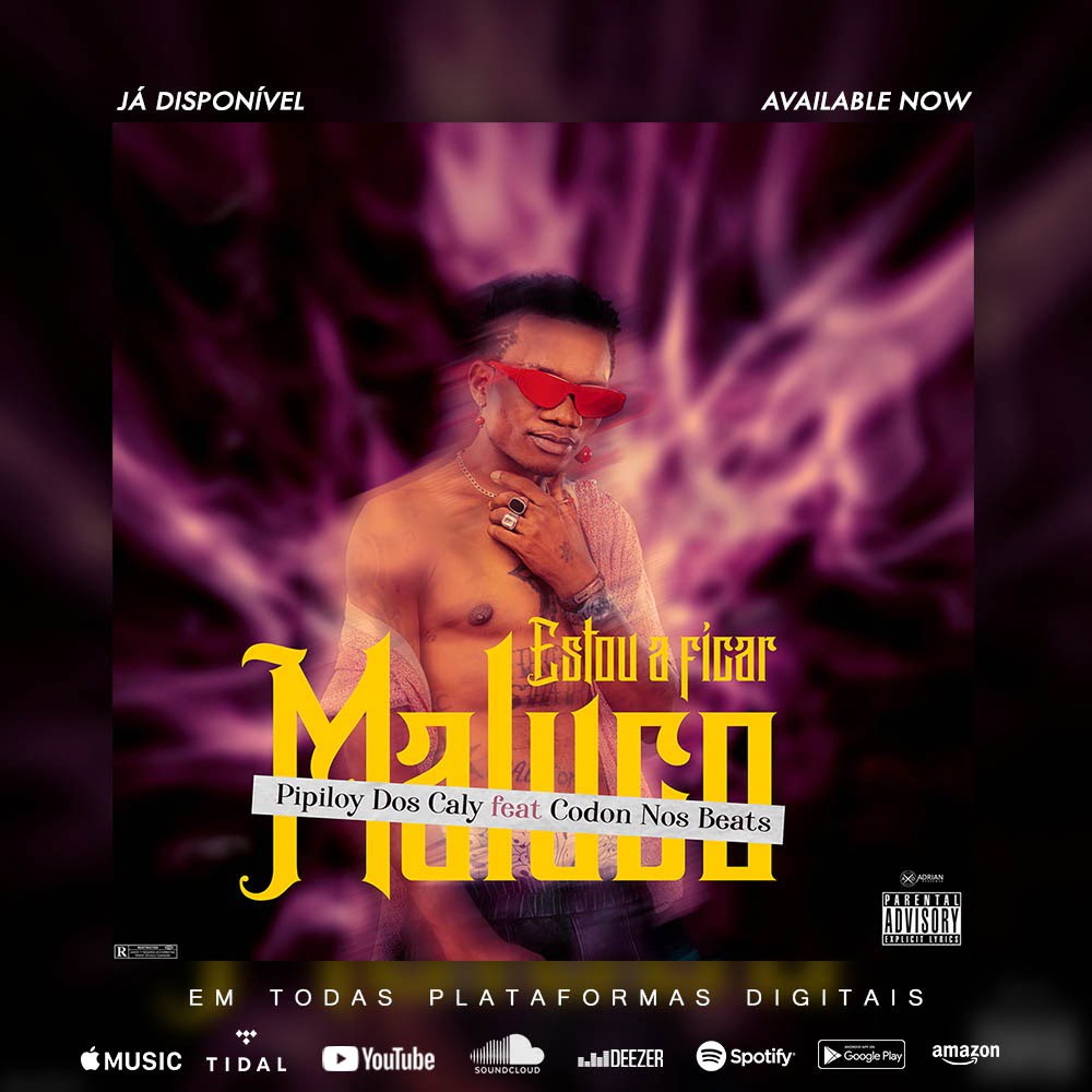 Pipiloy Dos Caly Feat. Codon Nos Beats - Estou A Ficar Maluco 10 Pipiloy Dos Caly Feat. Codon Nos Beats - Estou A Ficar Maluco
