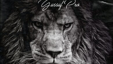 Yussuf Pro - Lion (EP)