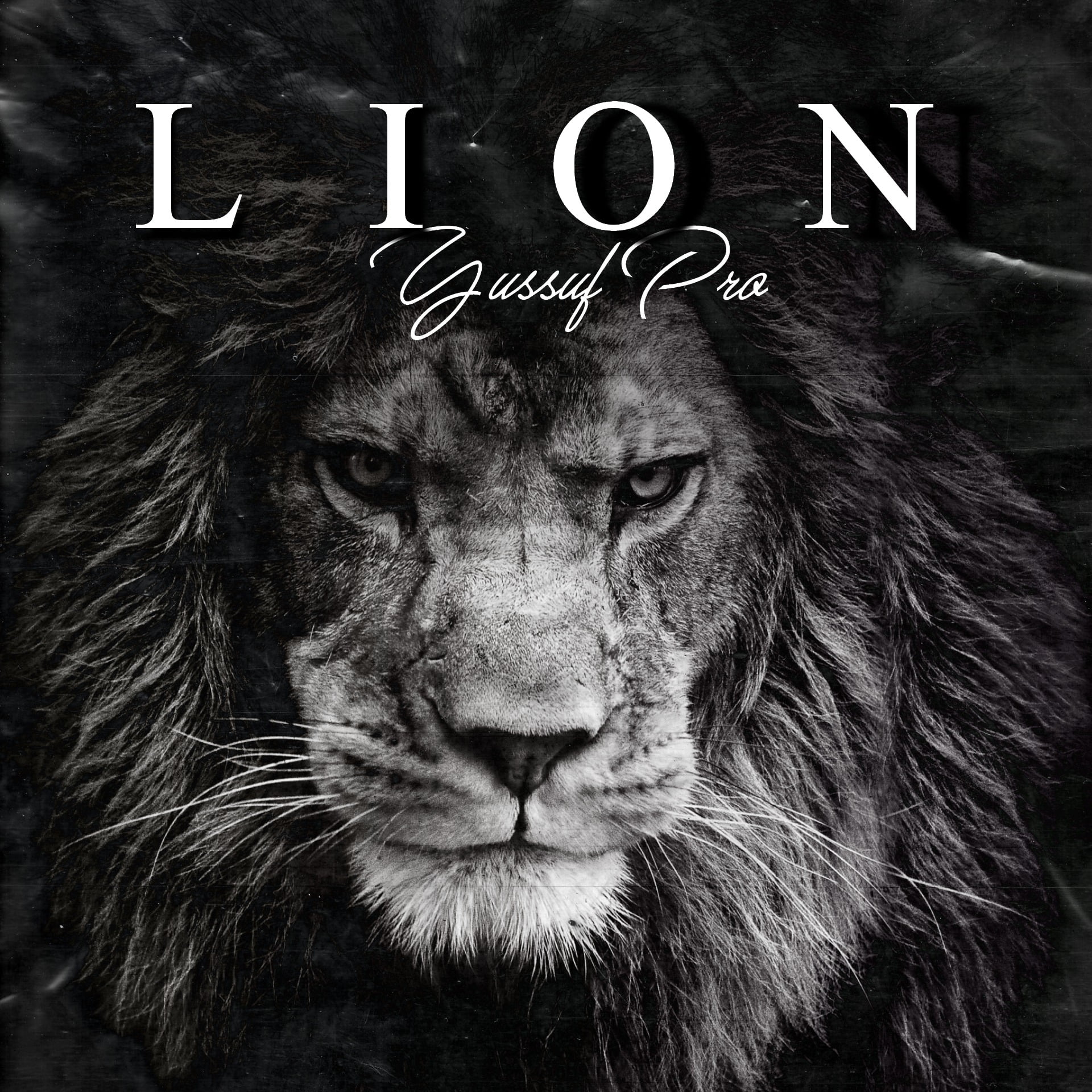 Yussuf Pro - Lion (EP) 10 Yussuf Pro - Lion (EP)