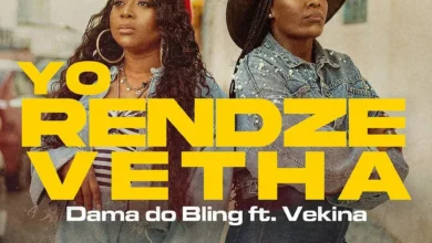 Dama Do Bling - Yo Rendze Vetha (feat. Vekina)