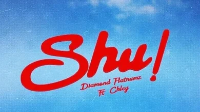 Diamond Platnumz – Shu (feat. Chley).