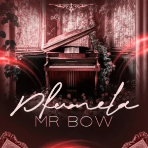 Mr. Bow - Pfumela