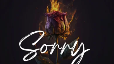 BN Gang - Sorry