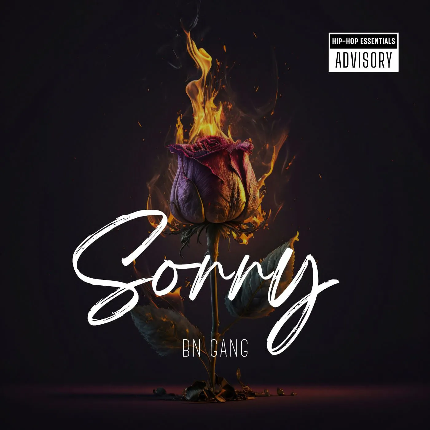 BN Gang - Sorry 10 BN Gang - Sorry