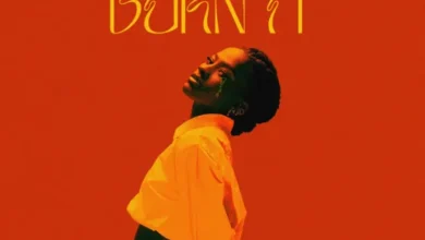 Chelsea Dinorath - Burn It