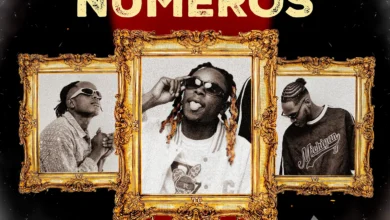 Stan Militar - Números (Rap) 2025