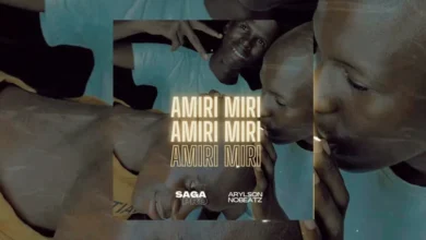 Saga Pro e Arylson No Beatz - Amiri Amiri (Afro House) 2025