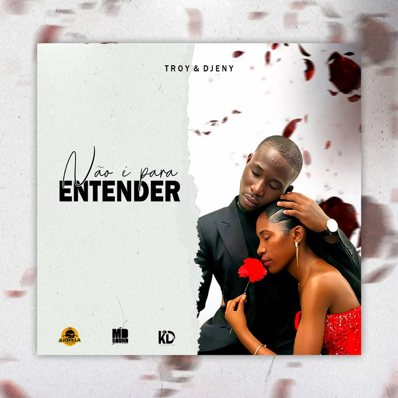 Troy & Djeny - Não É Para Entender (Zouk) 2025