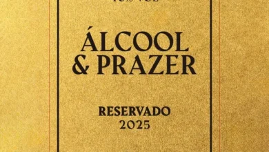 Deejay Telio - Alcool e Prazer (Feat. Wet Bed Gang) 2025
