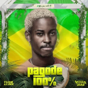 DJ Vieira Dias - Mix Pagode (2025)