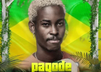 DJ Vieira Dias - Mix Pagode (2025)