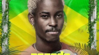 DJ Vieira Dias - Mix Pagode (2025)