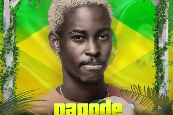 DJ Vieira Dias - Mix Pagode (2025)
