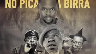 Projecto Comandante DK - No Pica & Na Birra (W King, Kino Total & Bebo King)