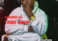 Gordinho MJ - Tribo Amor (Zouk) 4 Gordinho MJ - Tribo Amor