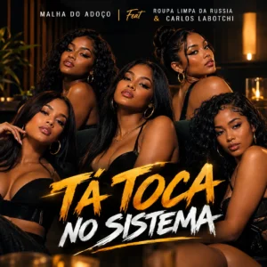 Malha Do Adoço - Tá Toca No Sistema (Feat. Roupa Limpa Da Russia & Carlos Labotchi)